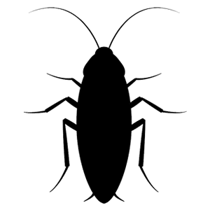 Cockroach Pest Control Specialist Traverse City