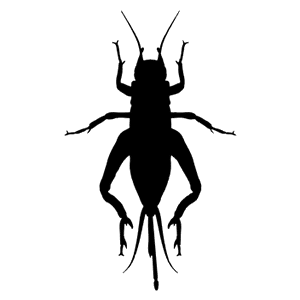 Crickets Pest Control Specialist Traverse City