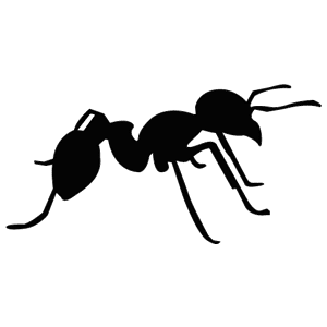 Ants Pest Control Specialist Traverse City