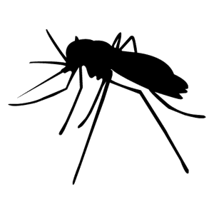 Mosquitoes Pest Control Specialist Traverse City