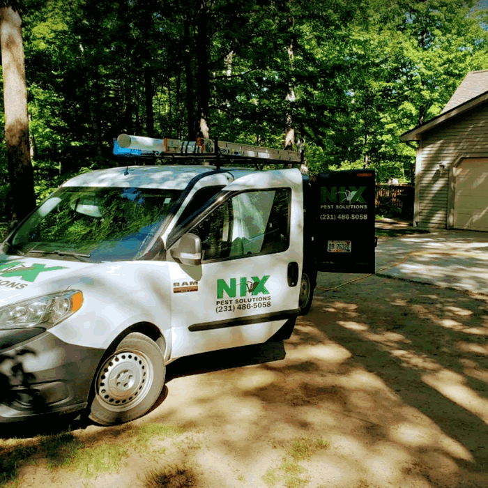 NIX Pest Solutions Takes tough jobs in the woods