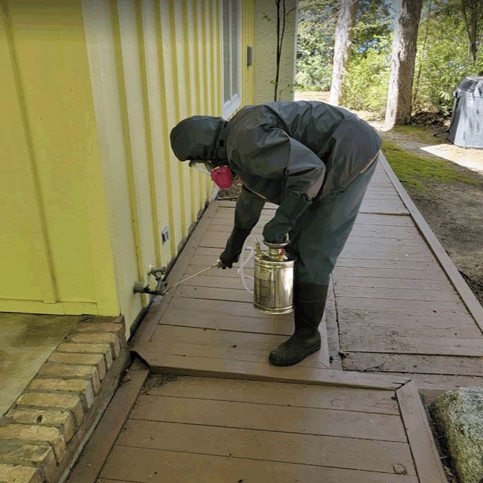 NIX Prevents Ants and Spiders from coming inside your home Traverse City